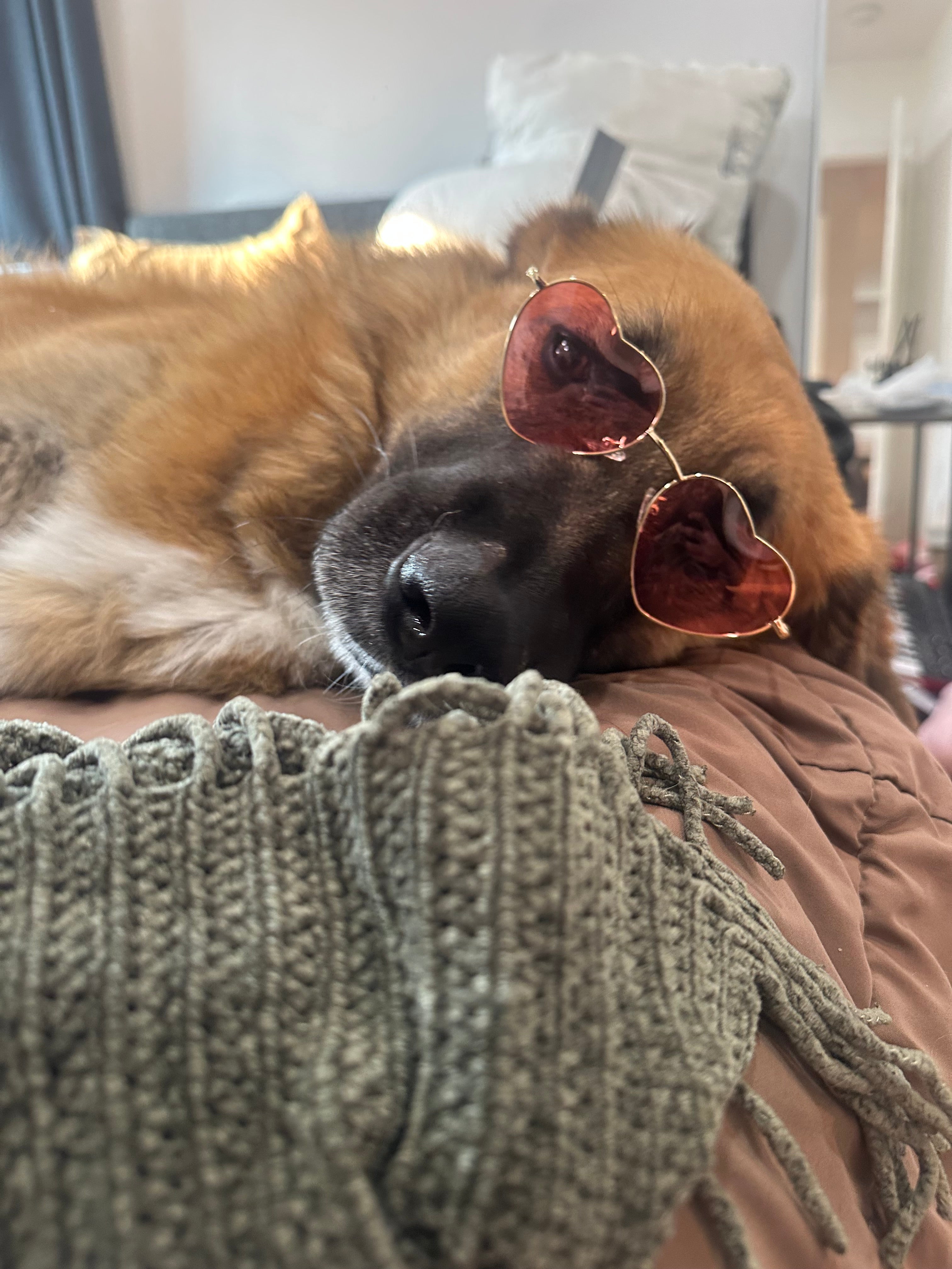 Heart Glasses Bundle