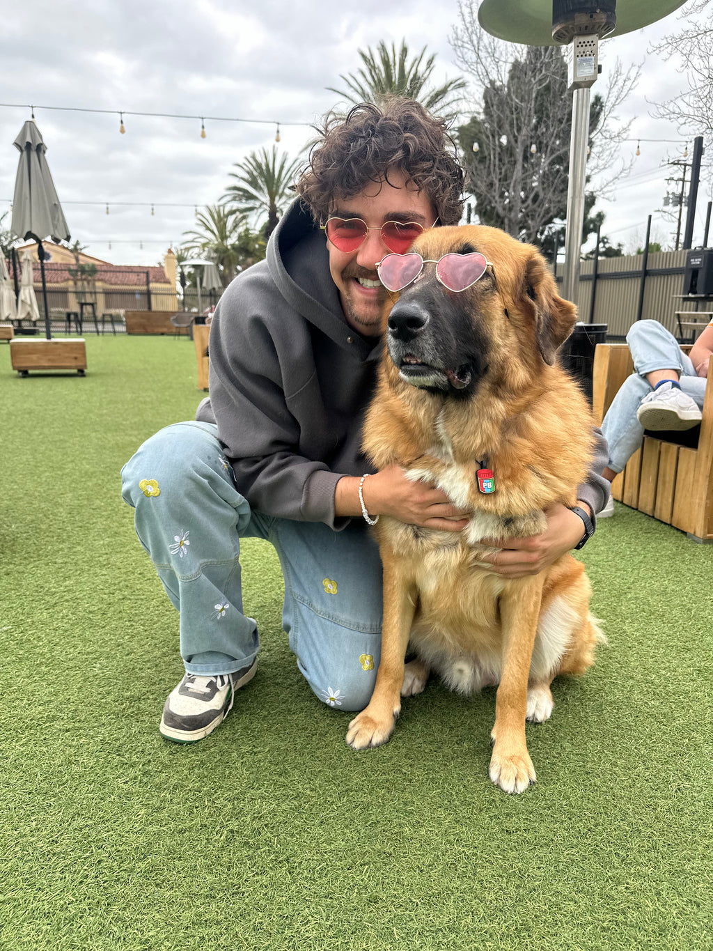 Heart Glasses Bundle