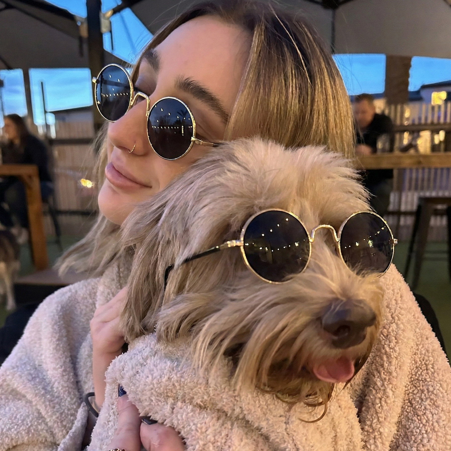 girl holding small dog wearing matching sunglasses