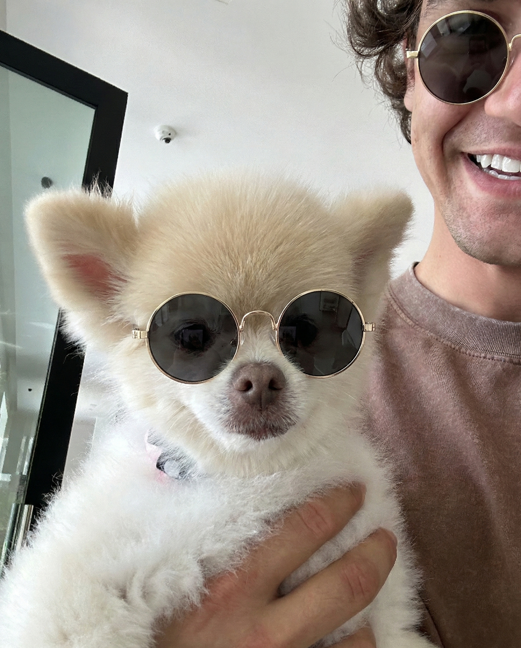 Person holding a small dog wearing sunglasses indoors